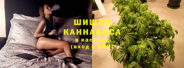 PSILOCYBIN Баксан