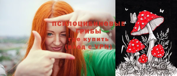 ГАЛЛЮЦИНОГЕННЫЕ ГРИБЫ Арсеньев